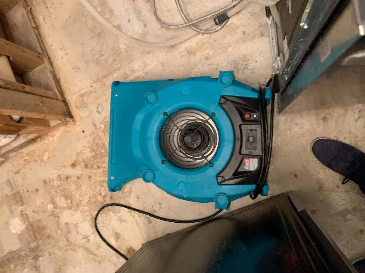 Air mover drying equipment for Mold Remediation & Removal in Madera Ranchos
